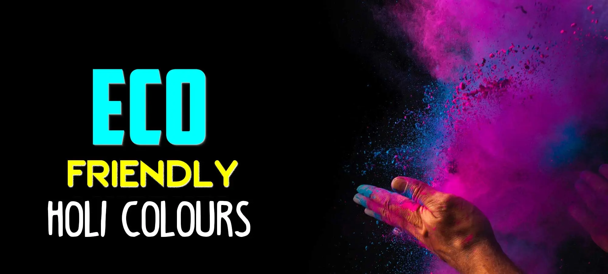 Export Quality Holi Colours
