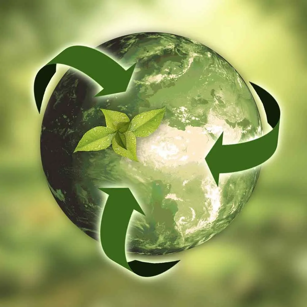 Sustainable Practices